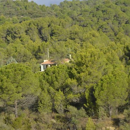 La Petite Cigale Villa Cesseras Exteriör bild