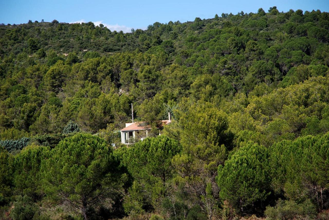 La Petite Cigale Villa Cesseras Exteriör bild