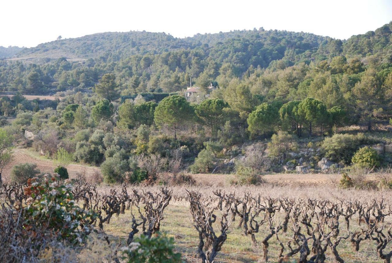 La Petite Cigale Villa Cesseras Exteriör bild