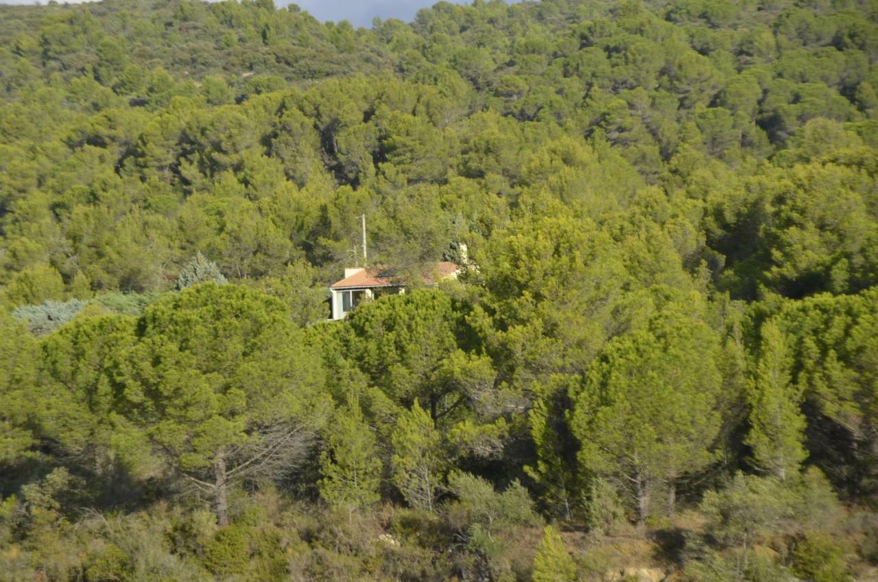 La Petite Cigale Villa Cesseras Exteriör bild